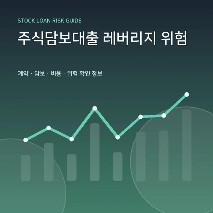 주식담보대출 레버리지 위험